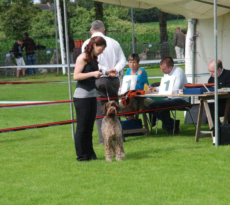 Campbon 2012